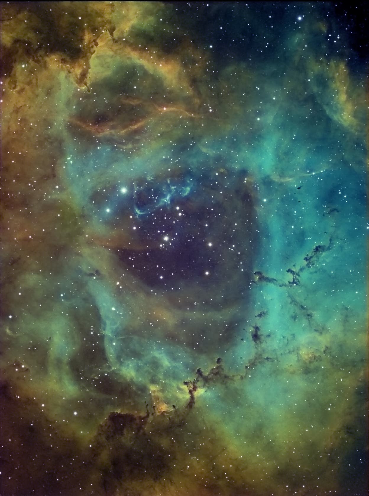 Rosettennebel NGC 2244