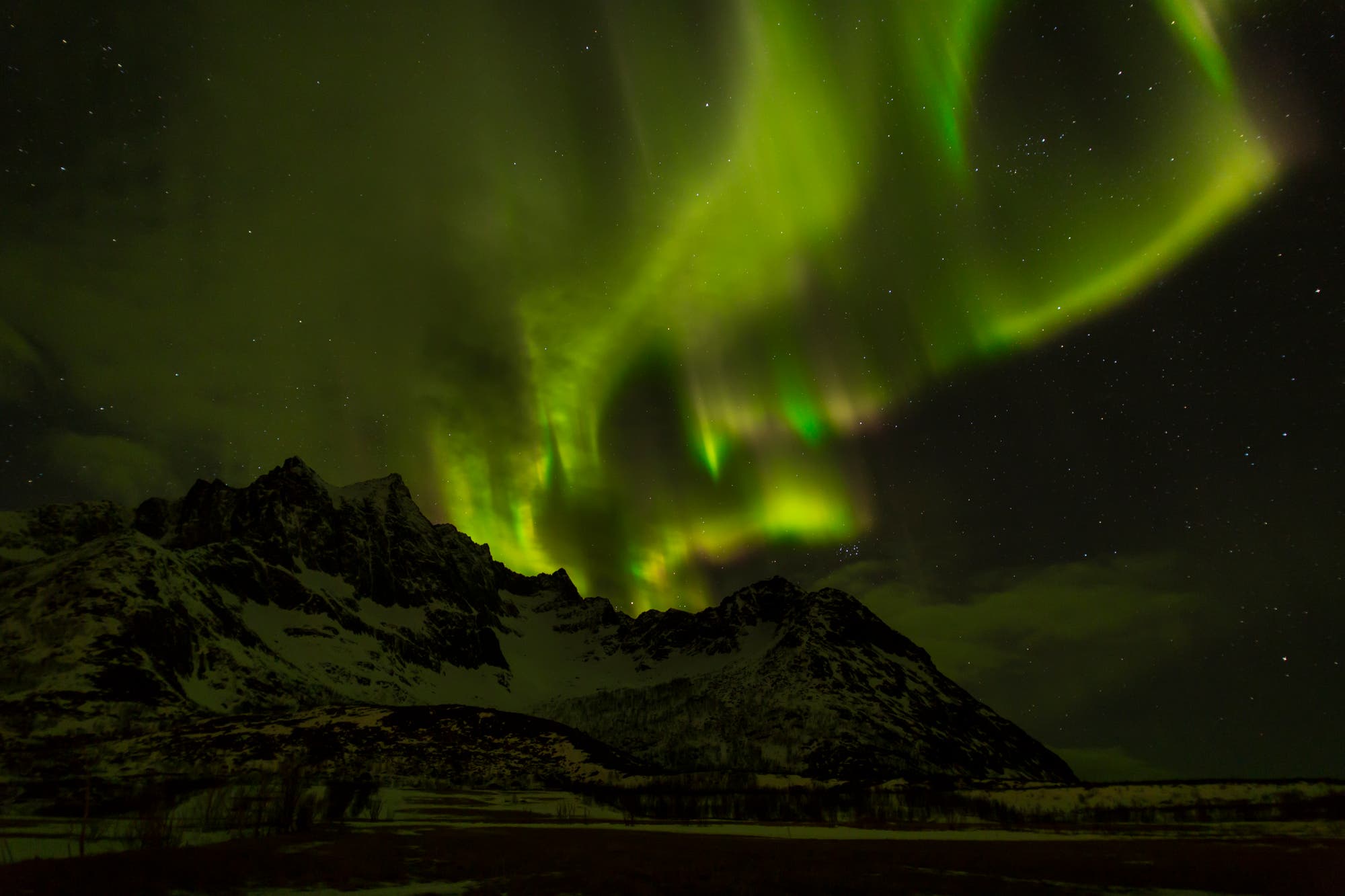 Polarlichter von Senja / Norwegen