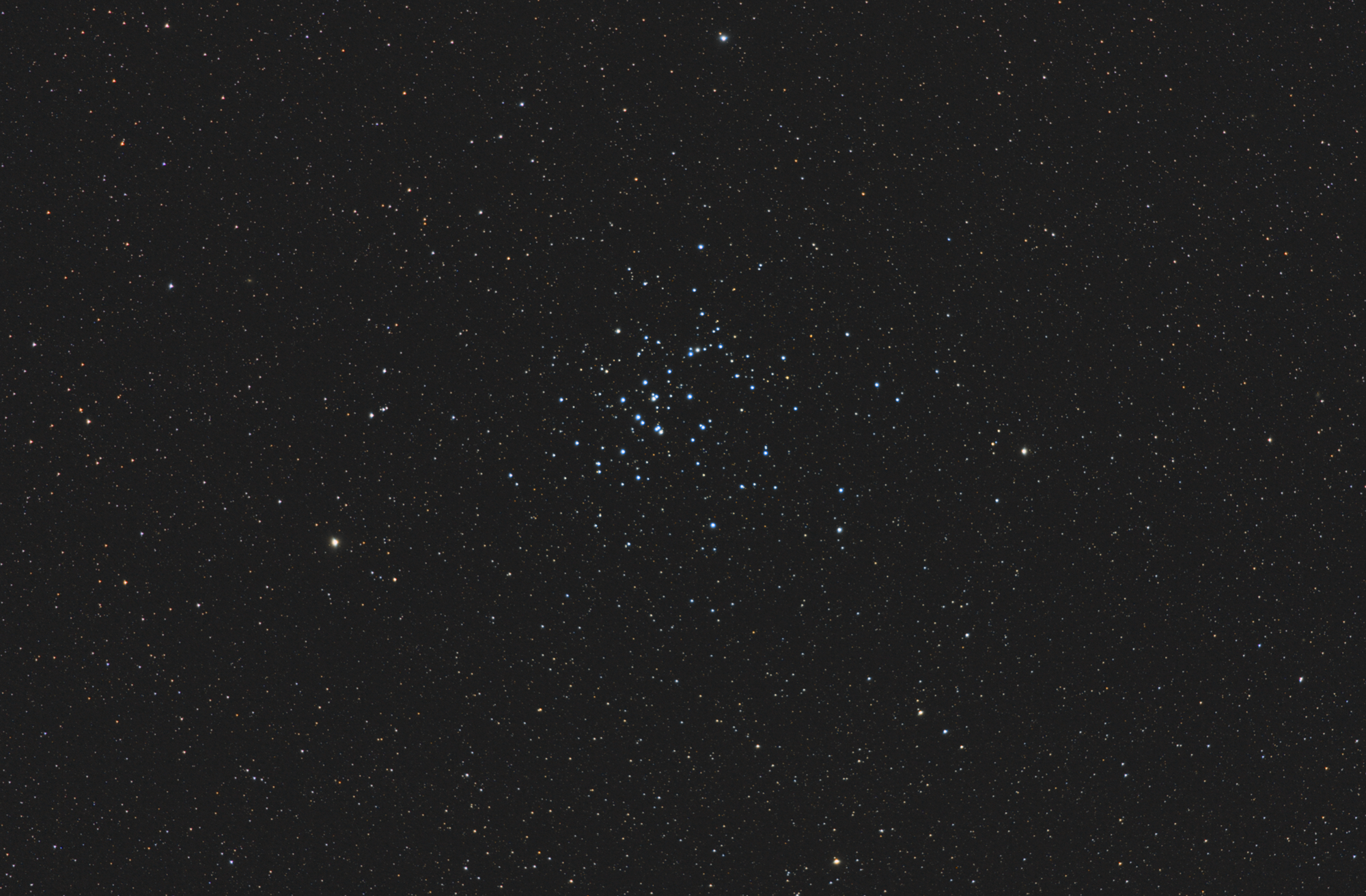 Messier 44 - Praesepe
