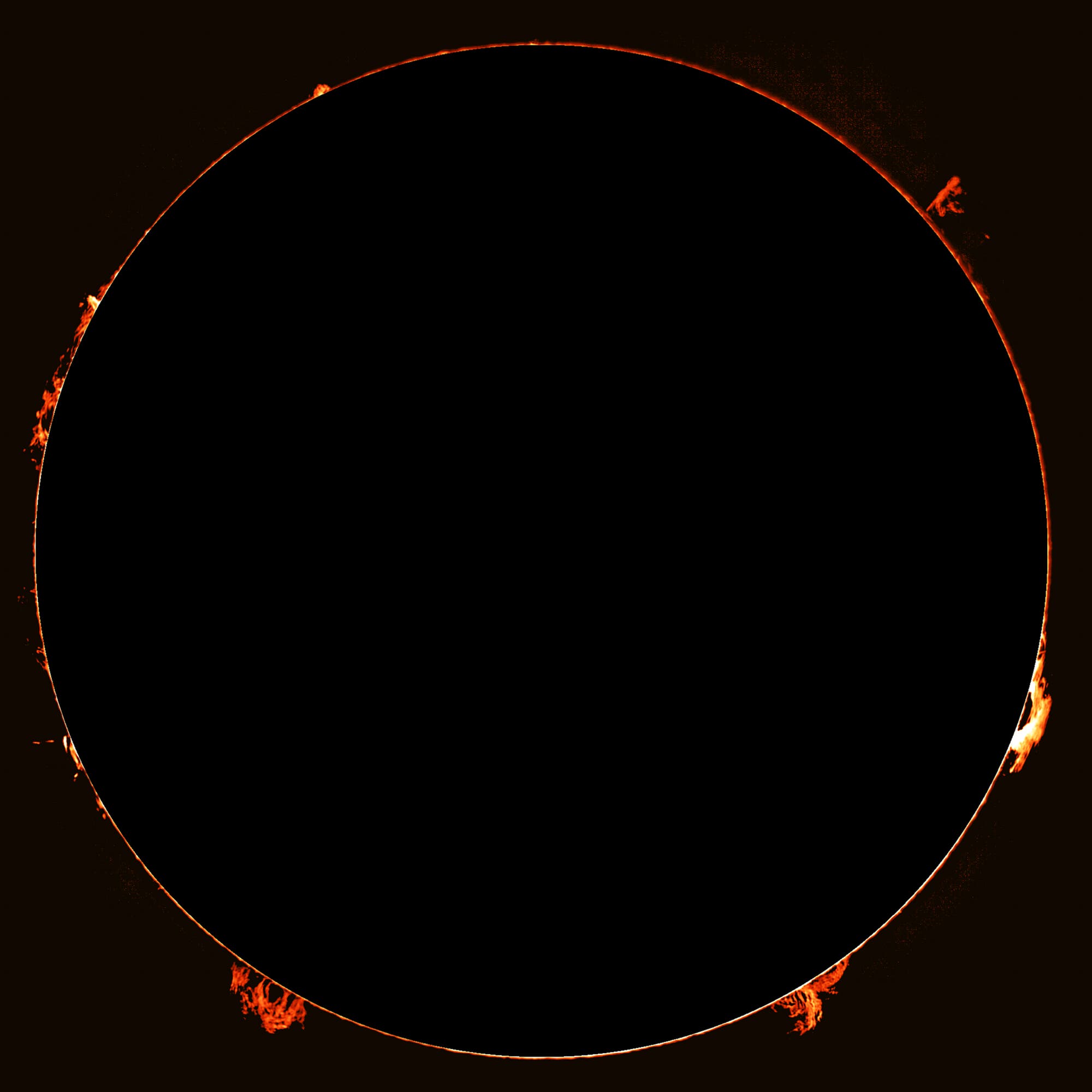 Protuberanzen bei "künstlicher Sonnenfinsternis"