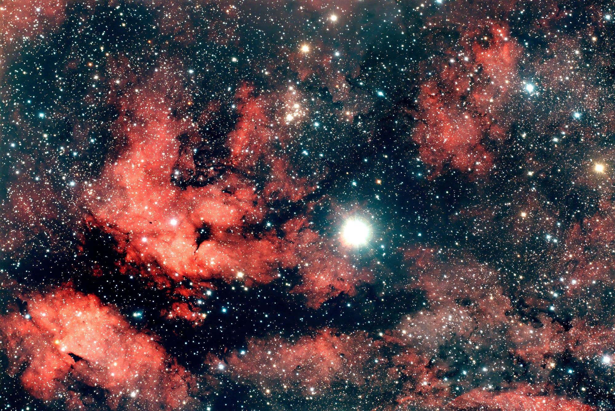 Sadr-Region (Cynus) IC 1318