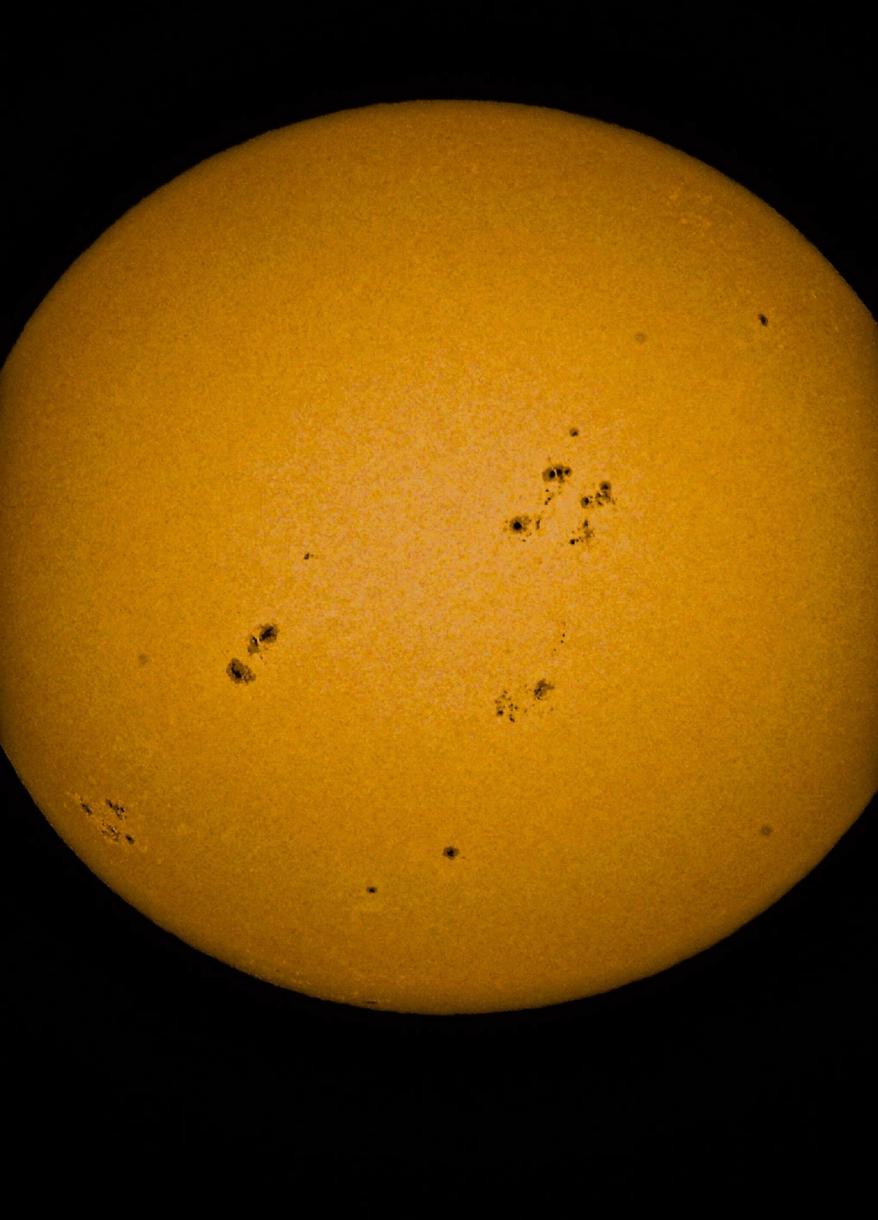 Spectcular new Sunspots