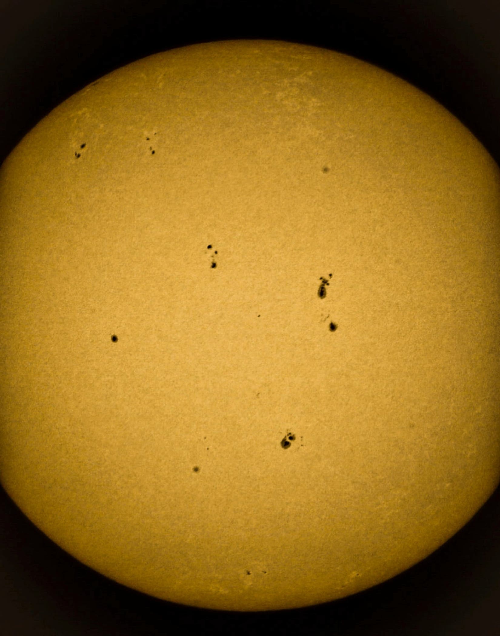 New current Sunspots across the entire surface of the sun