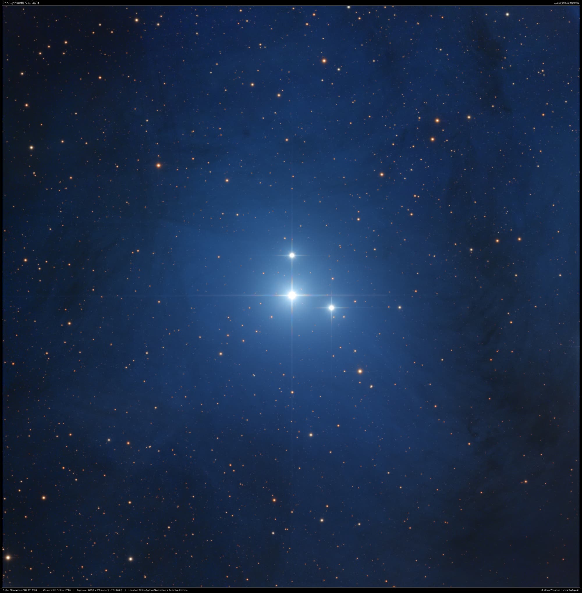 Sternsystem Rho Ophiuchi & IC 4604
