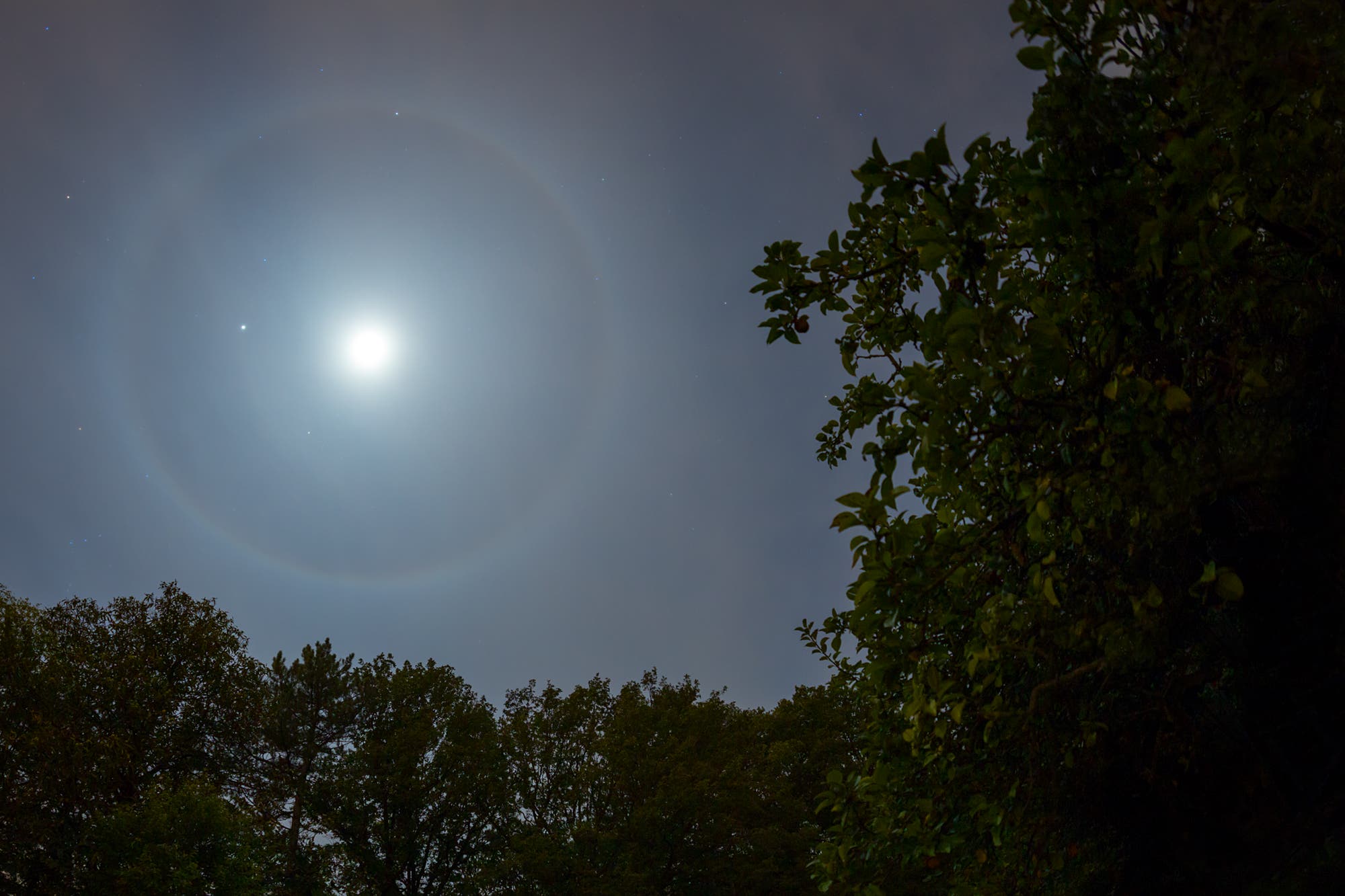 22-Grad-Ring um Mond und Jupiter