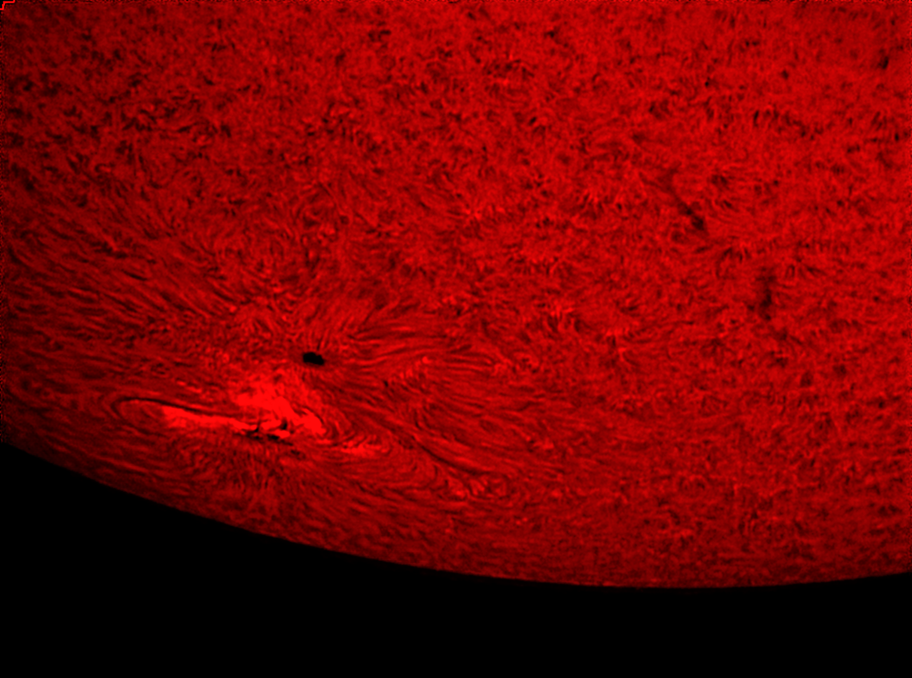 Sonnenfleck 2781 am 04. November 20 im H-Alpha-Licht
