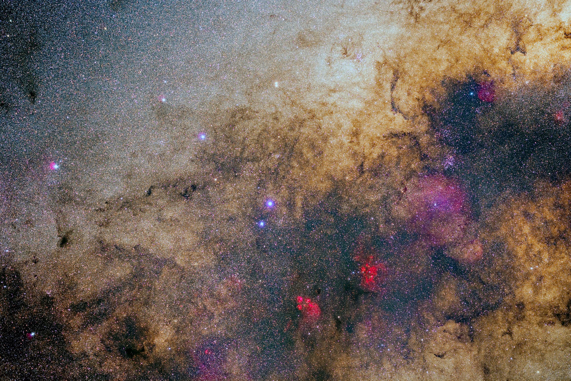 Katzenpfoten- und Hummernebel inmitten reicher Sternfelder der Milchstraße