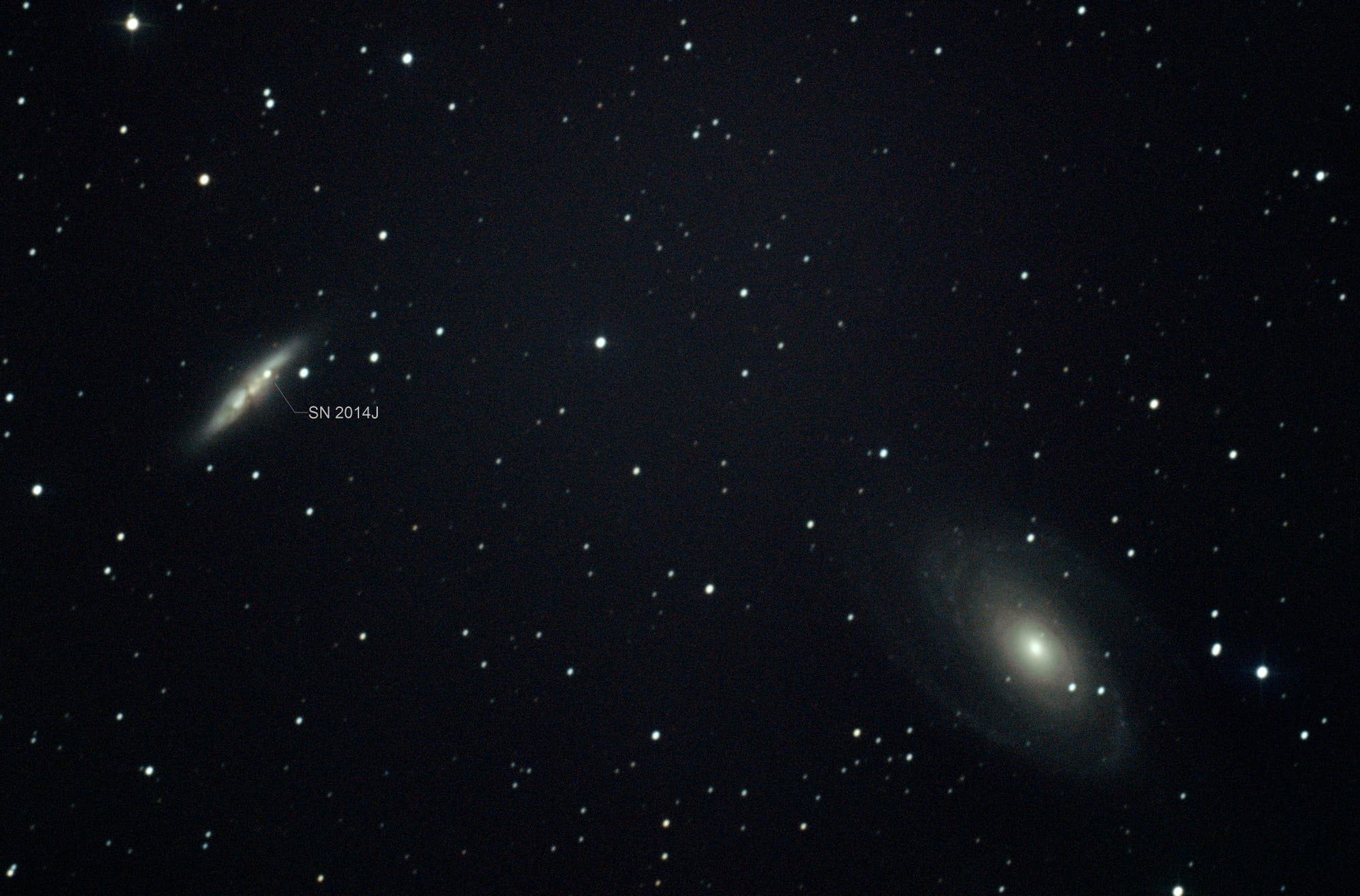 M 81 und M 82 mit SN 2014J