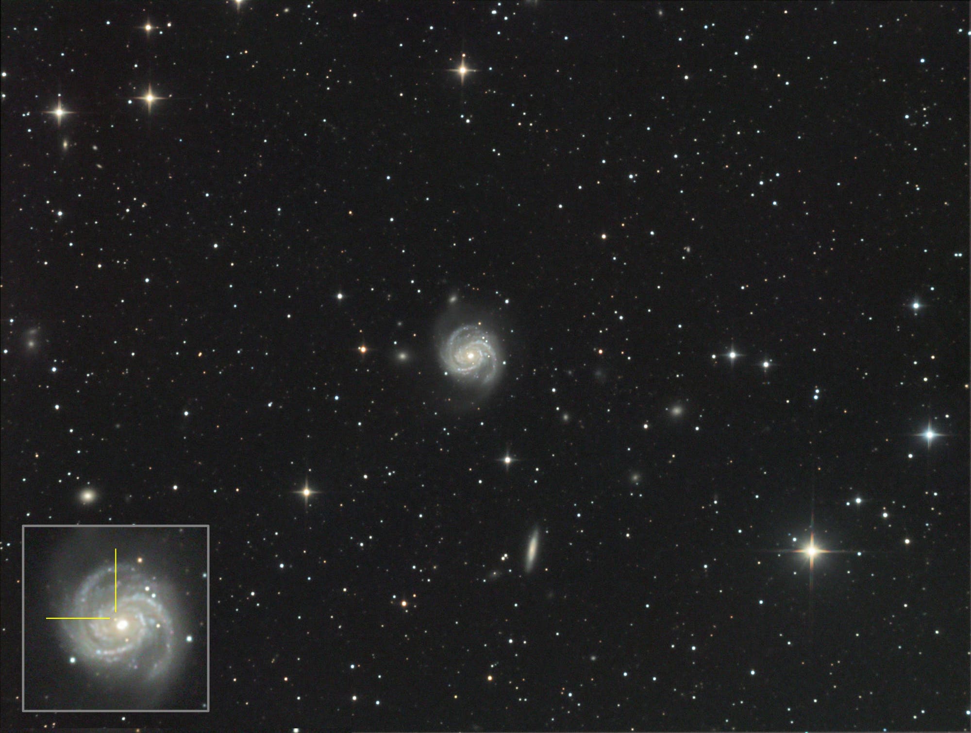 Supernova SN2019ehk in Messier 100