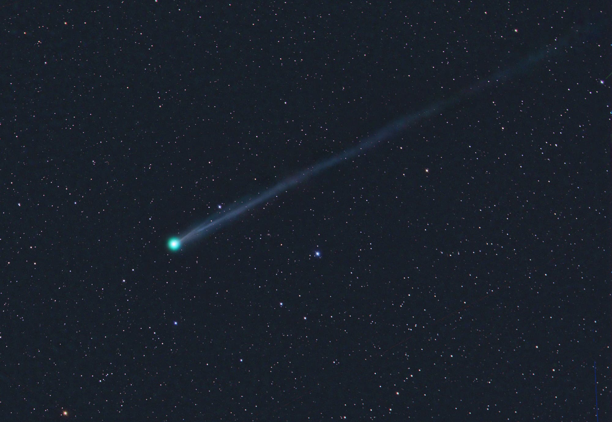 Überraschungskomet am Morgenhimmel