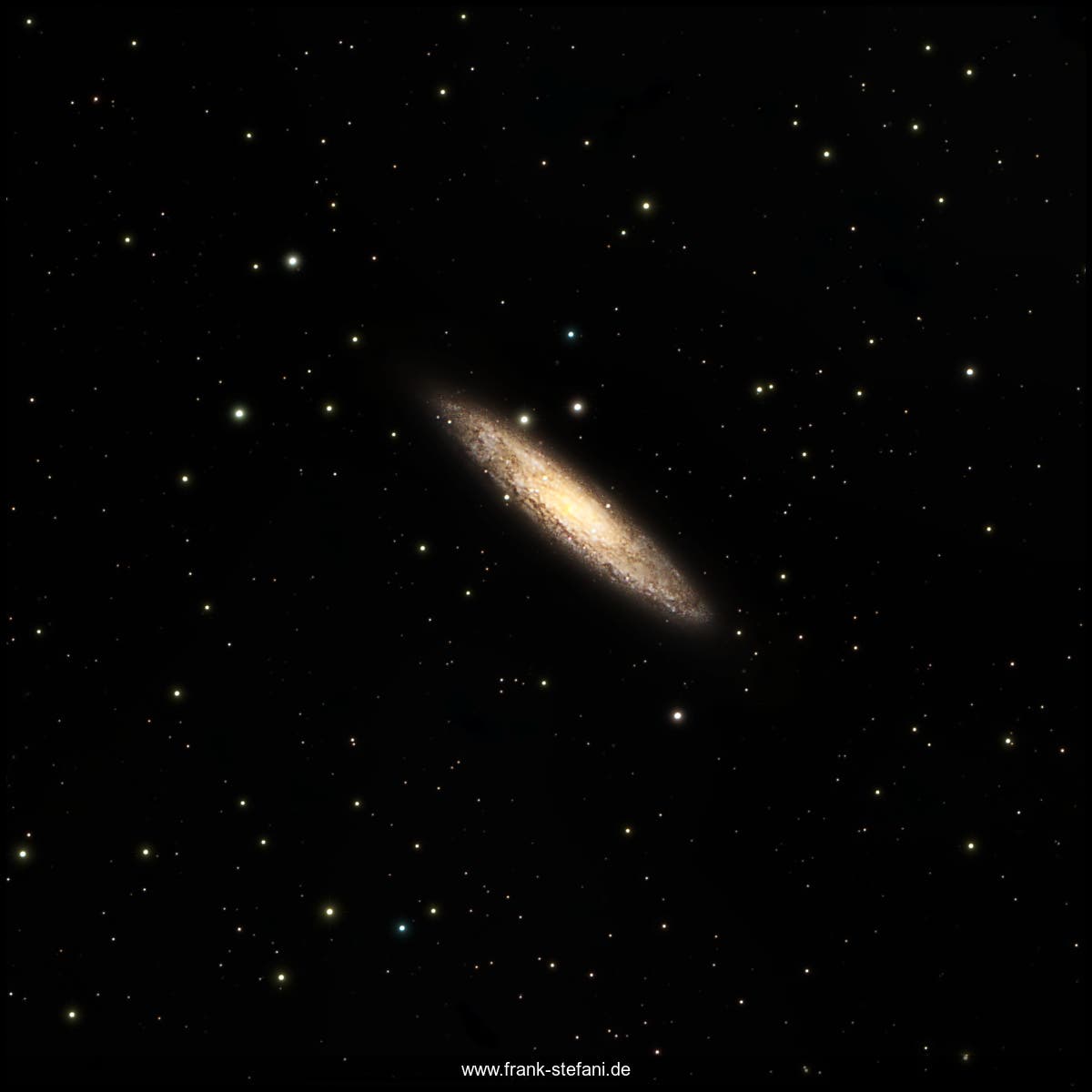 Die »Silbermünzen-Galaxie« NGC 253 (Scl) - in atmosphärisch bedingter Verfärbung