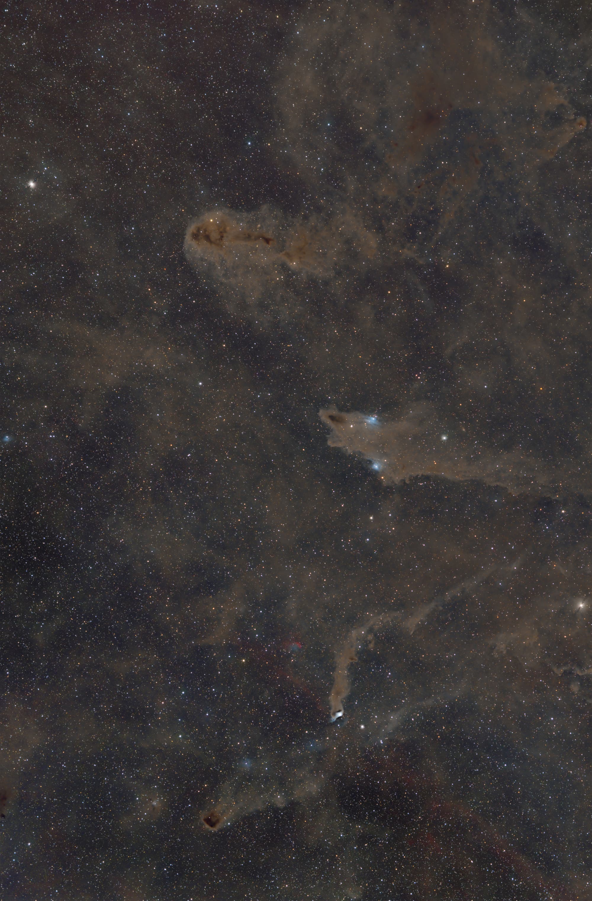 Dunkelnebel im Kepheus