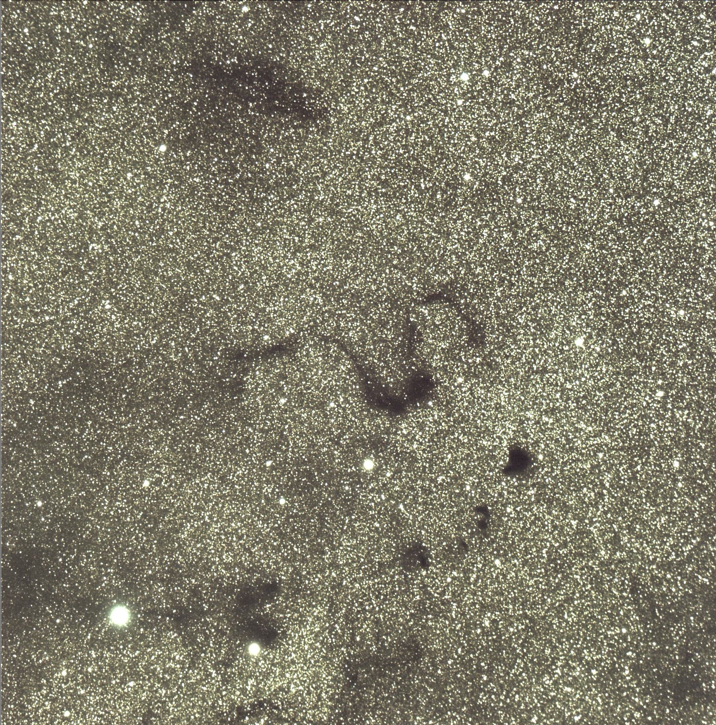 Der »Schlangennebel« im Schlangenträger