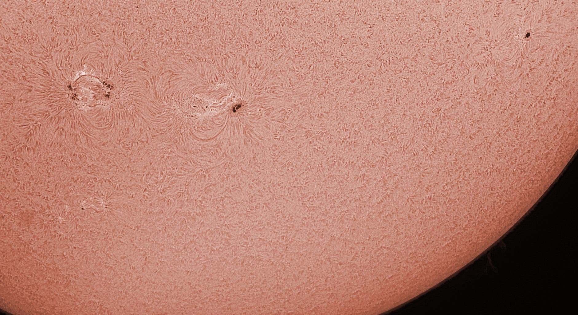 Die Sonne am 8. September 2021 (2)