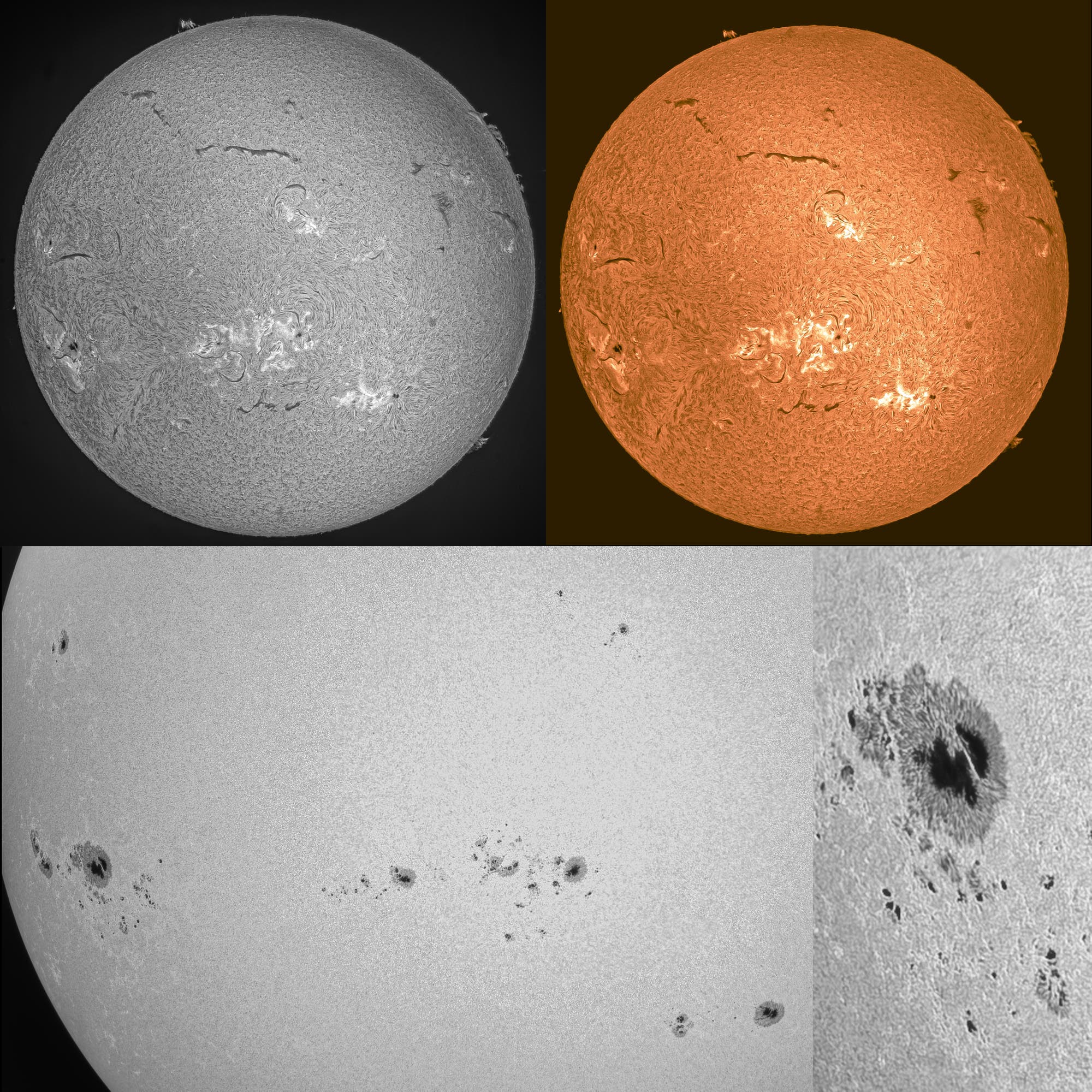 Sonne im Weißlicht und H-alpha