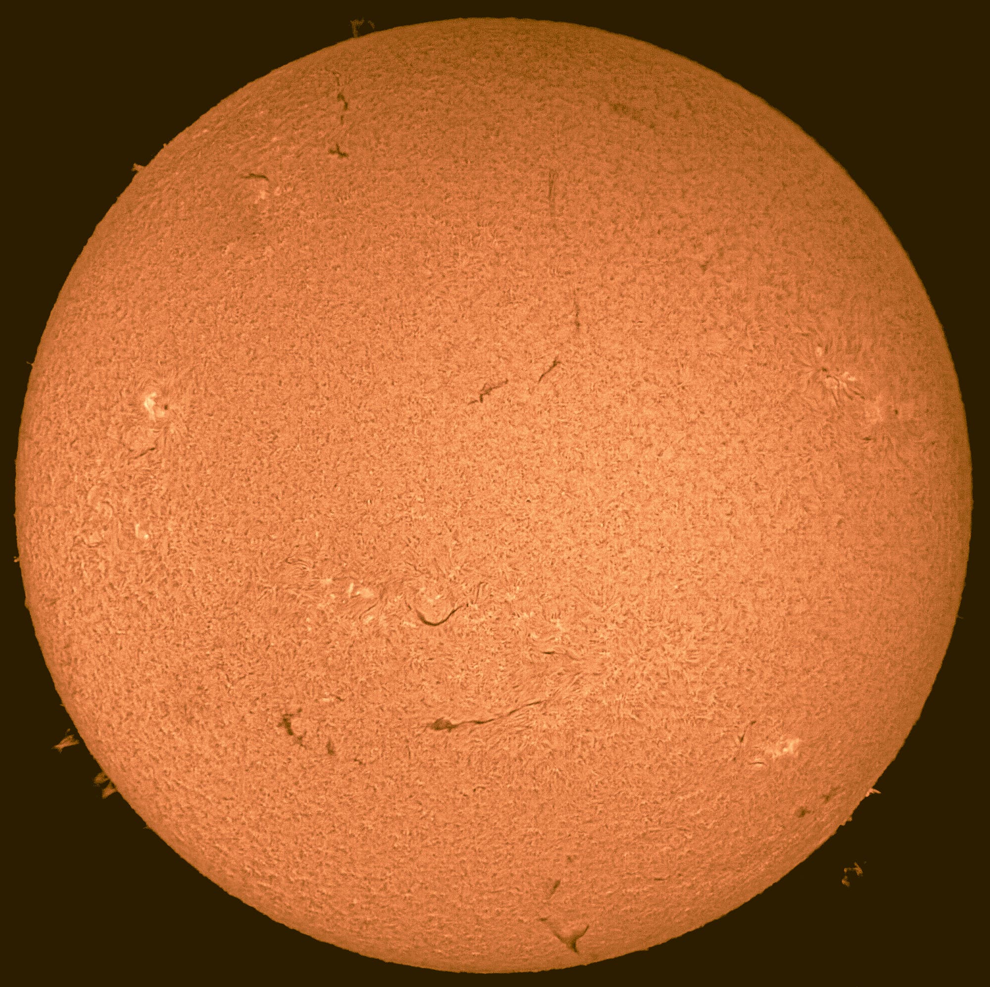 Sonne in H-Alpha am 13. Februar 2022