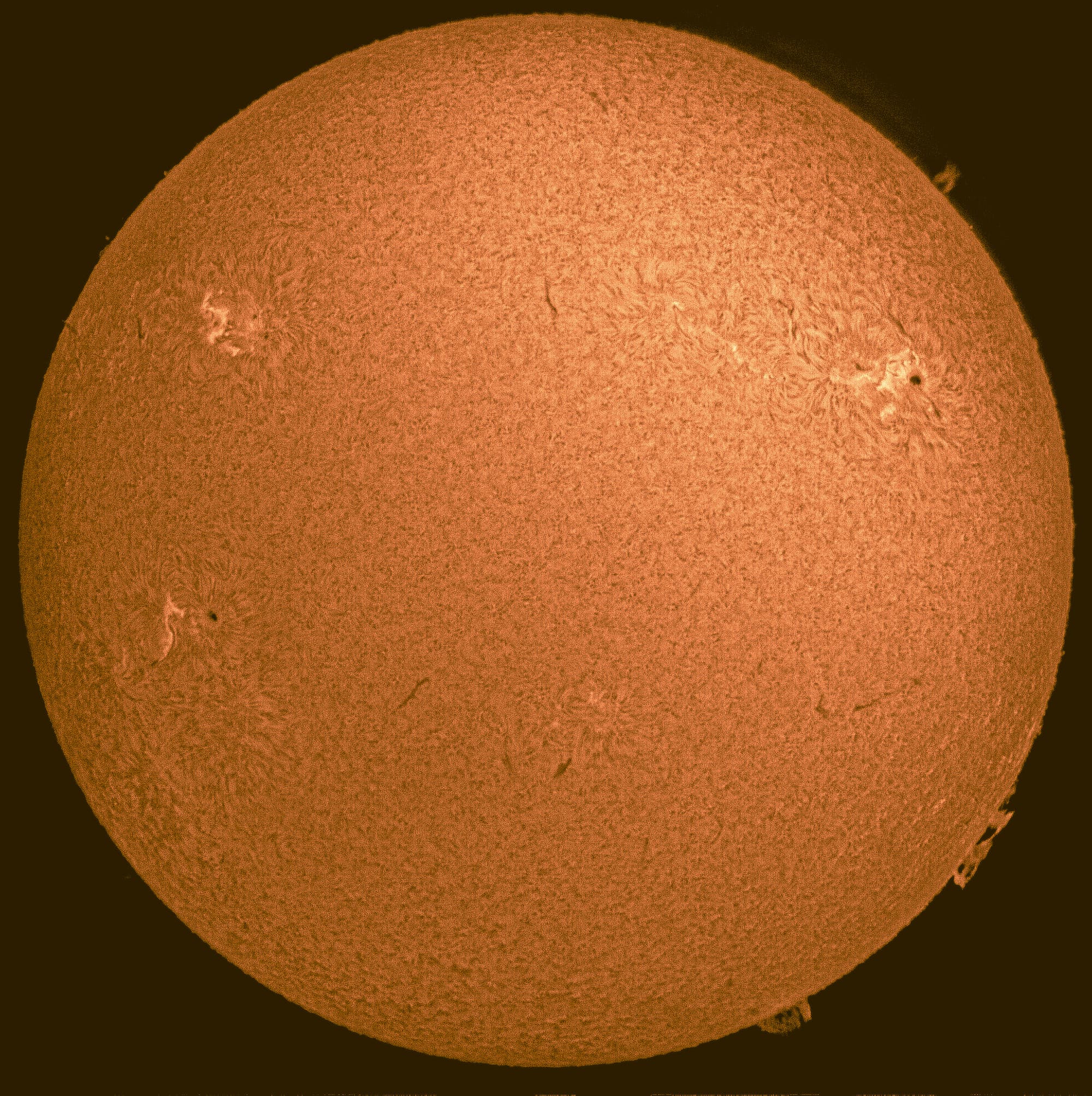 Sonne H-Alpha 2. Februar 2022