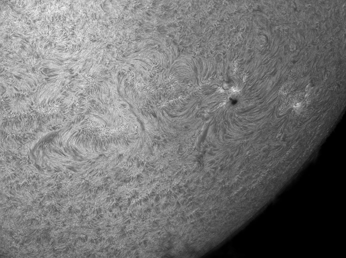 H-alpha-Sonne am 2.4.2012