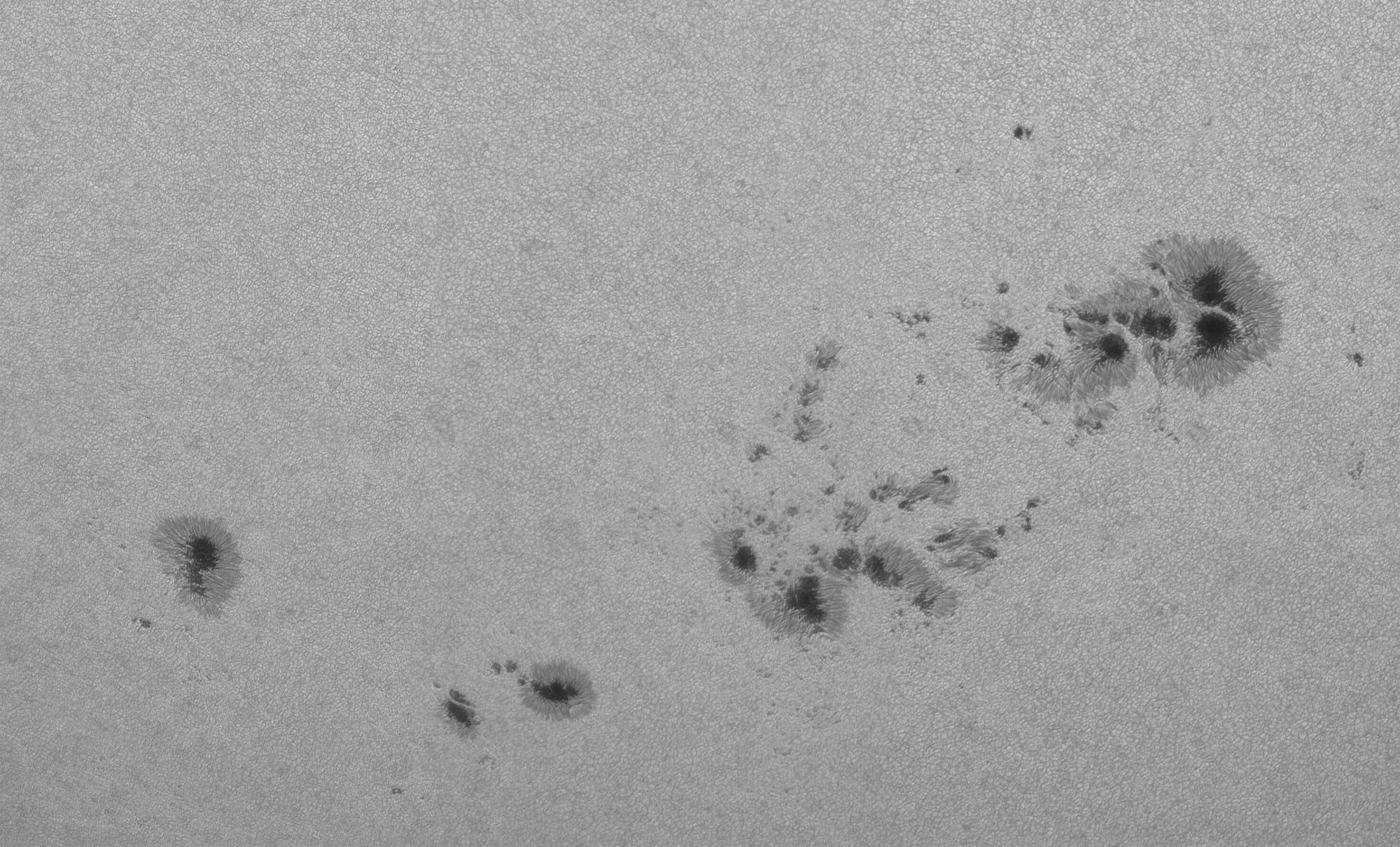 Sonne Weißlicht, aktive Region 4195