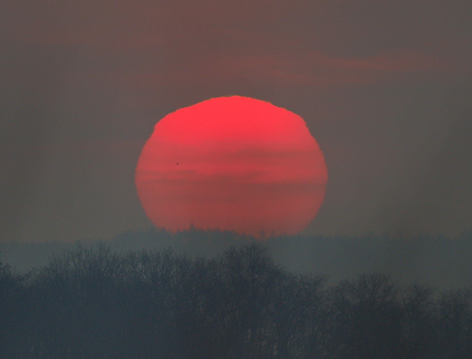 Sonnenaufgang in Meißen