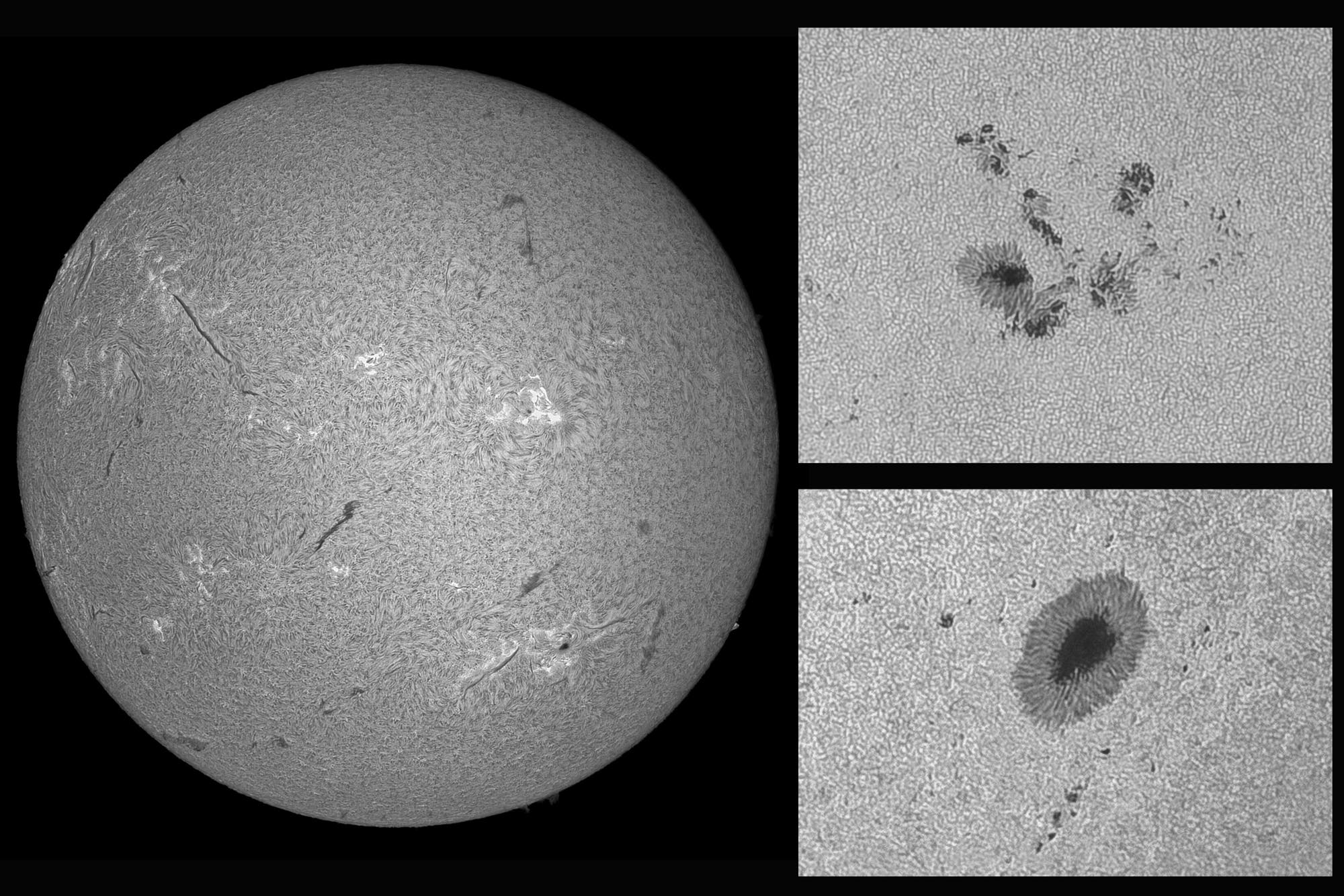 H-Alpha- und Weißlicht-Sonne am 11. August 2023