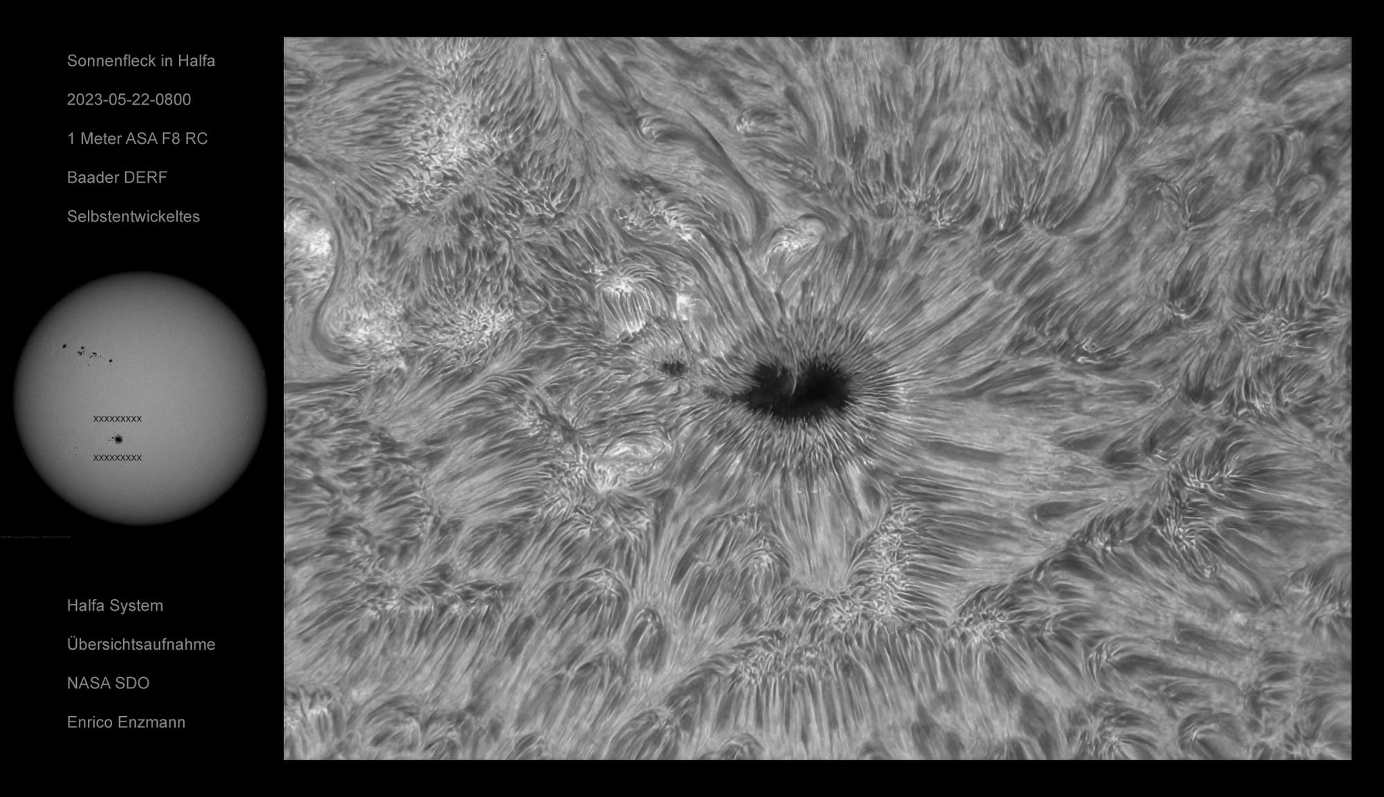 Detailreicher Sonnenfleck in H-Alpha vom 22. Mai 2023