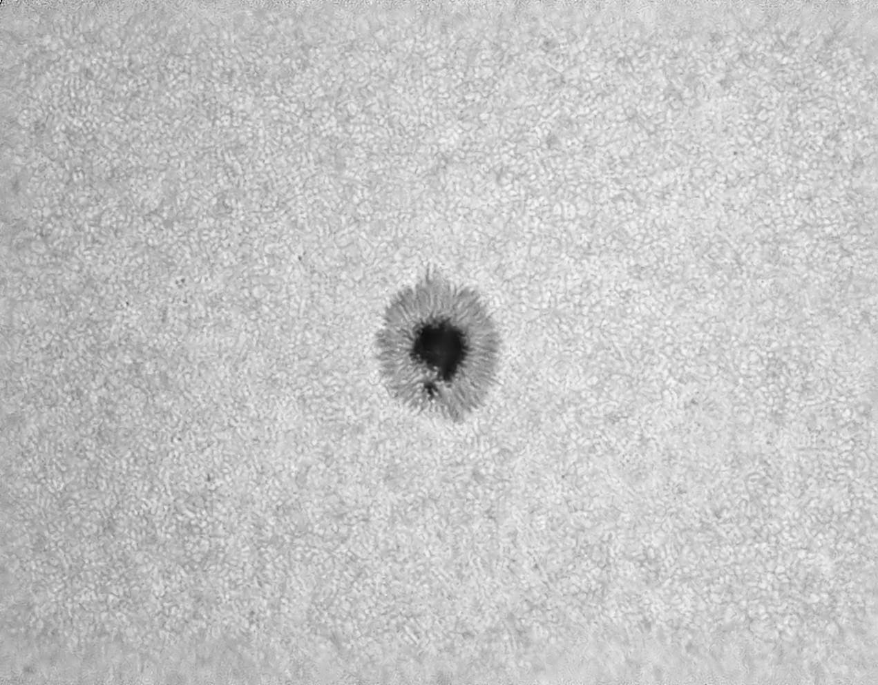 Sonnenfleck AR3074 am 9. August 2022