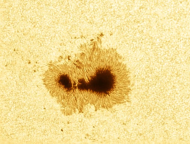 Sonnenfleck 13363 mit Solar Continuum Filter