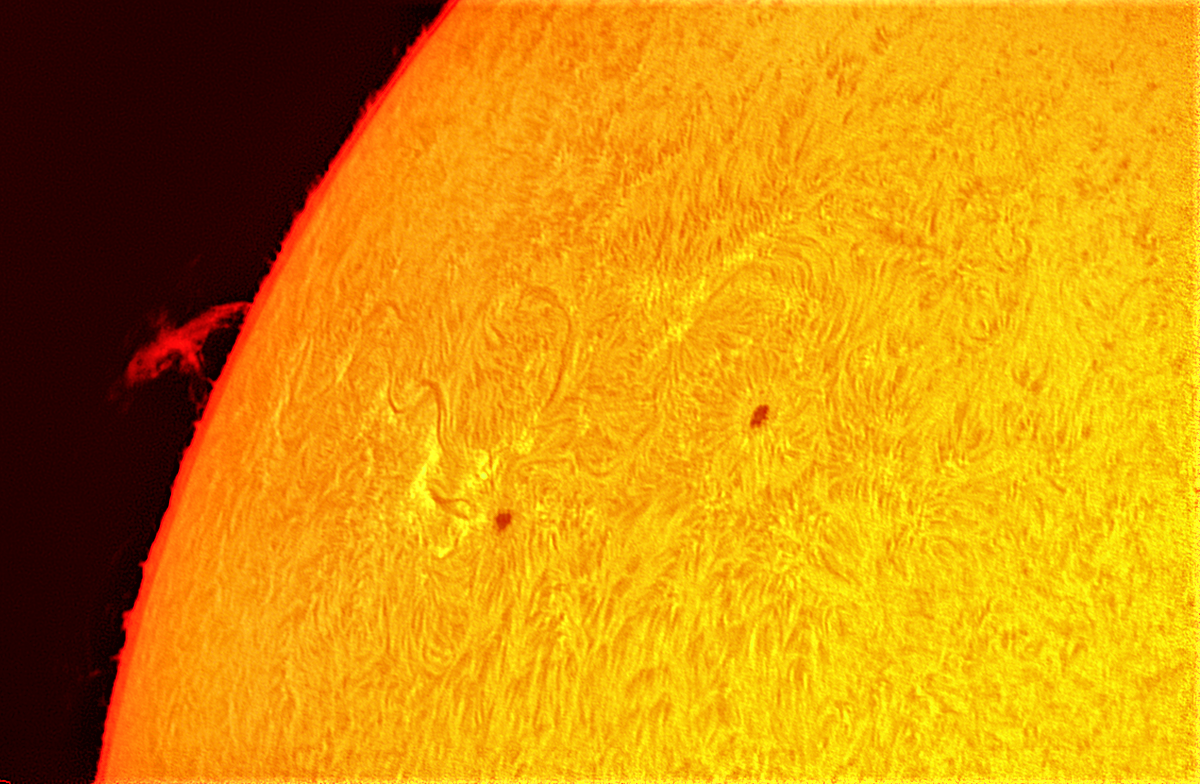 Sonnenflecken AR 2954 und 2955 mit Protuberanz am 23. Februar 2022 im H-Alpha-Licht