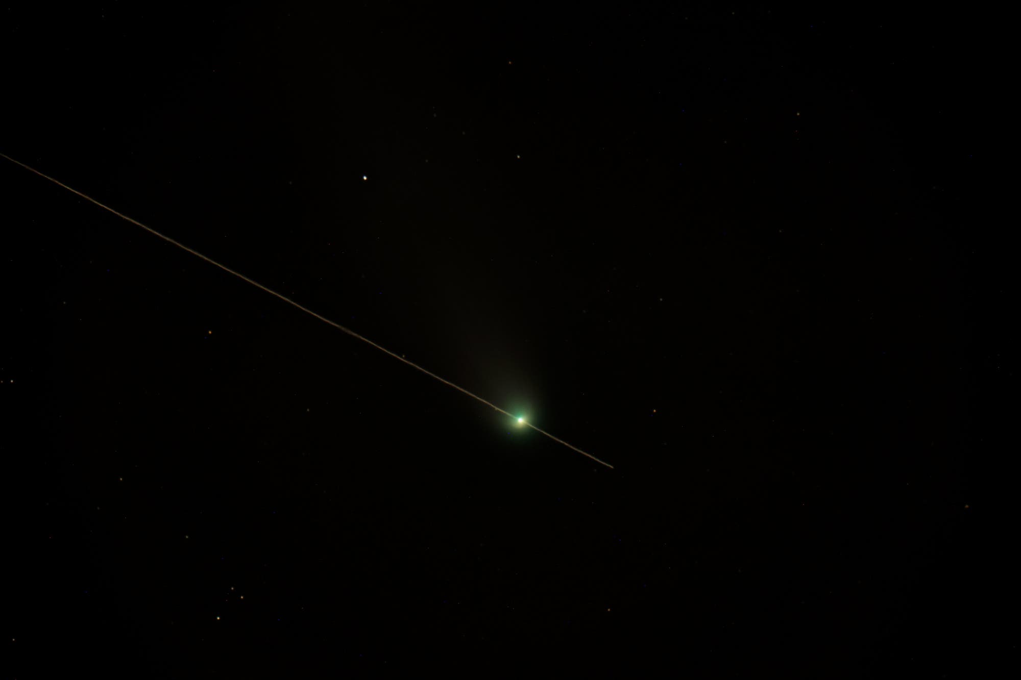 Starlink trifft C/2025 A6