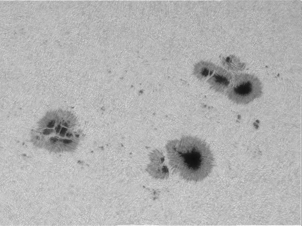 Sonnenfleckengruppe  aufgenommen im Weißlicht am 23. April 2022