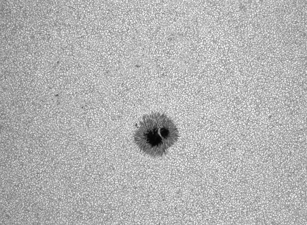Sonnenfleck 2741 im Weißlicht