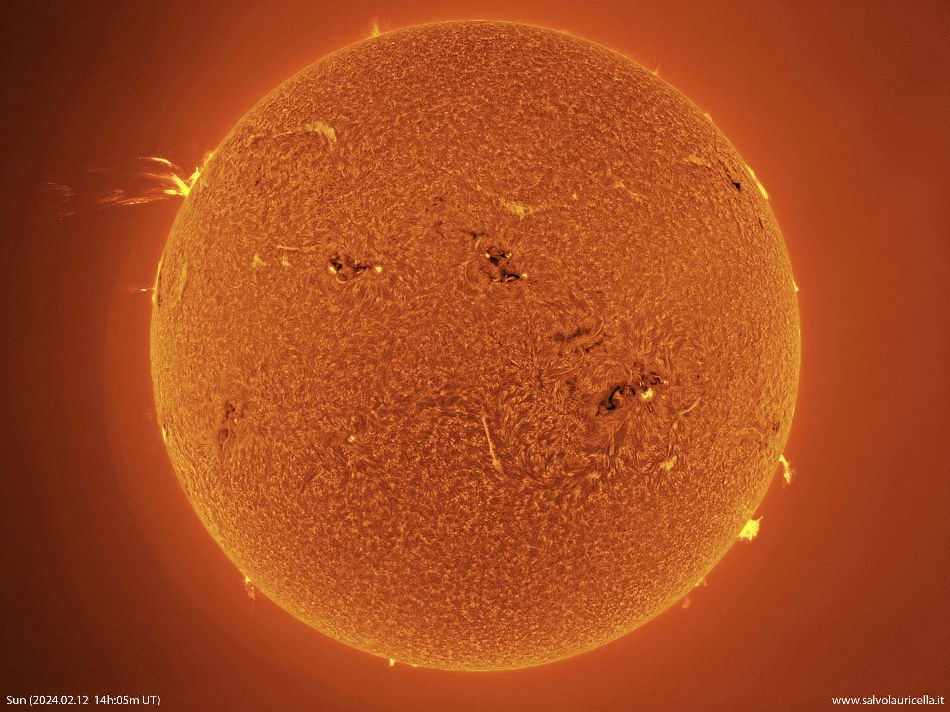 Spectacular prominence on the Sun