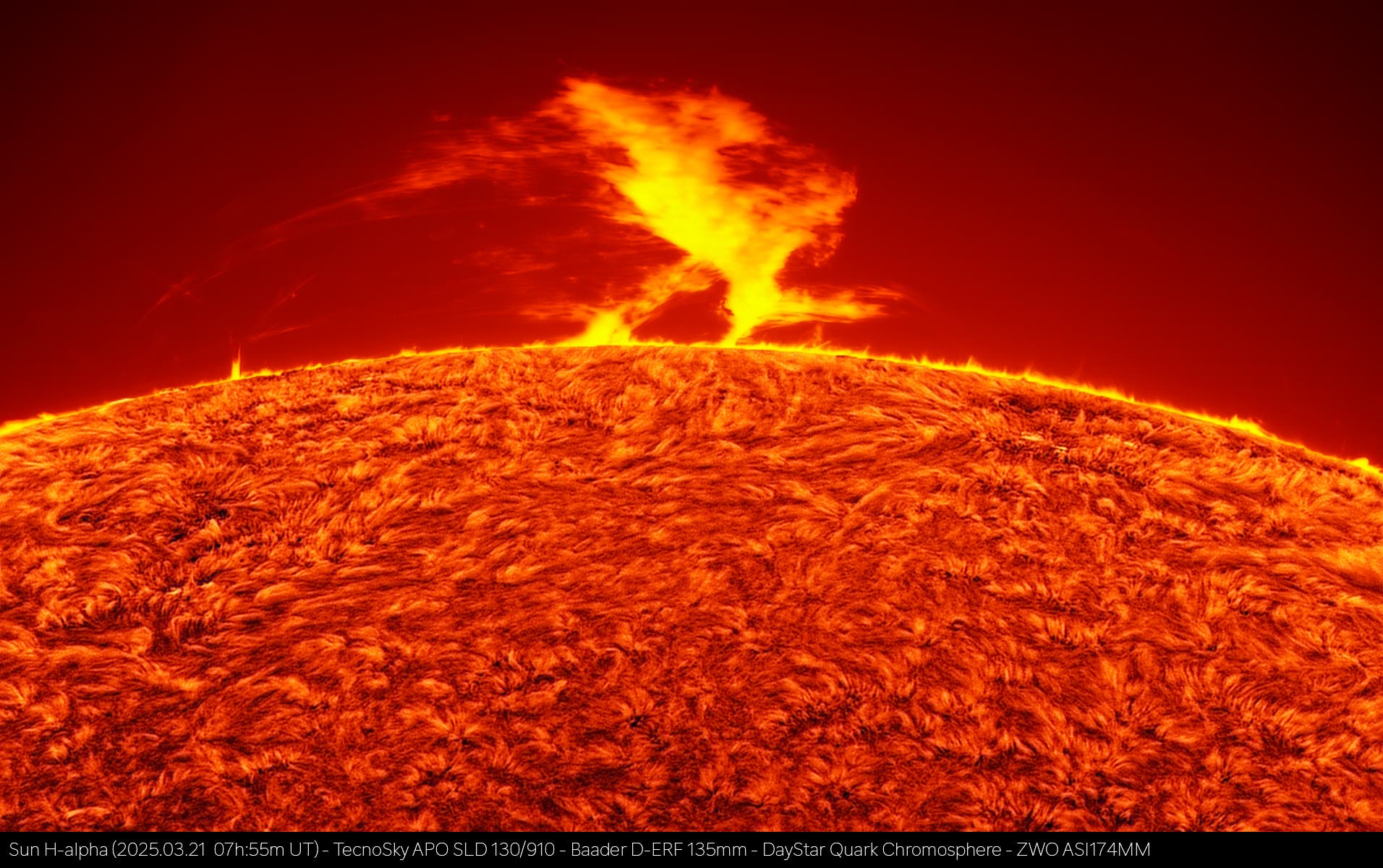Large solar prominence