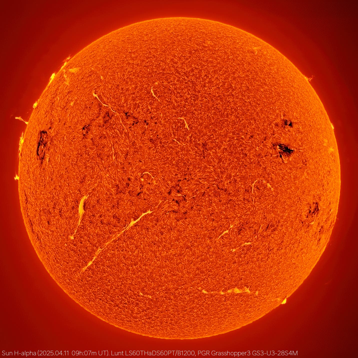 H-alpha Sun