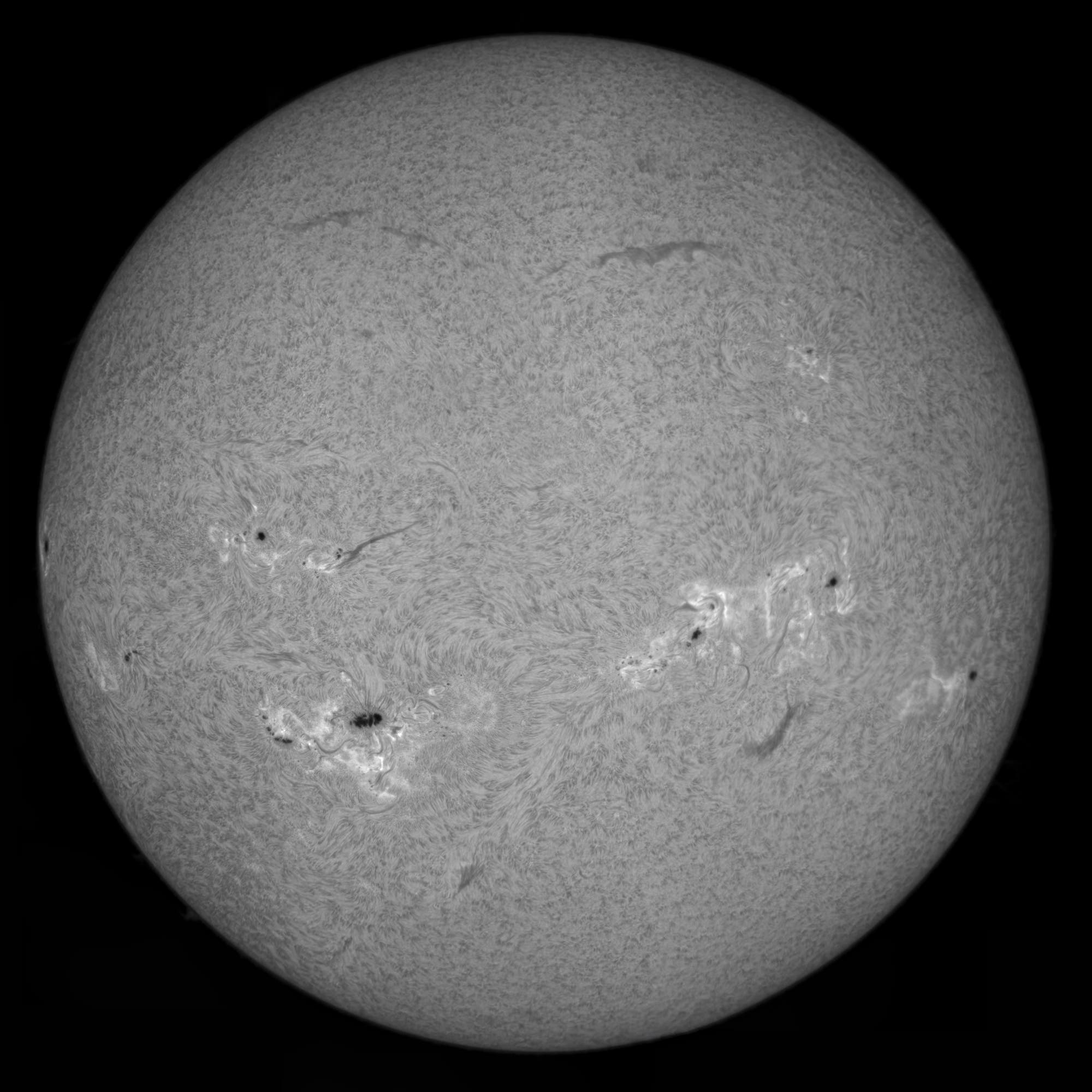 Sonnenmosaik in H-alpha vom 8. August 2024