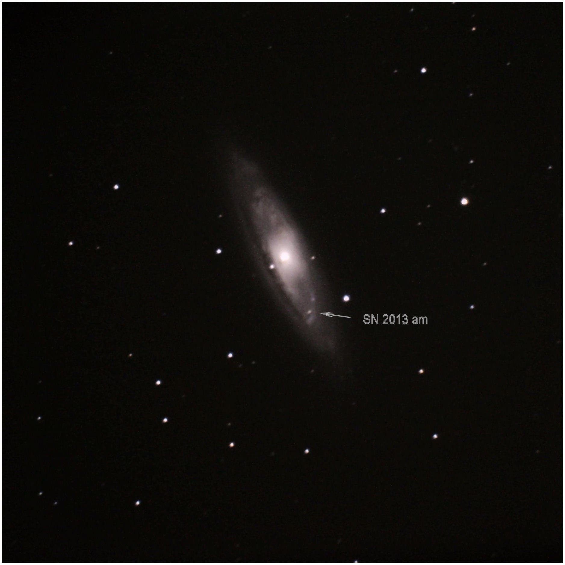 Supernova in der Galaxie M 65