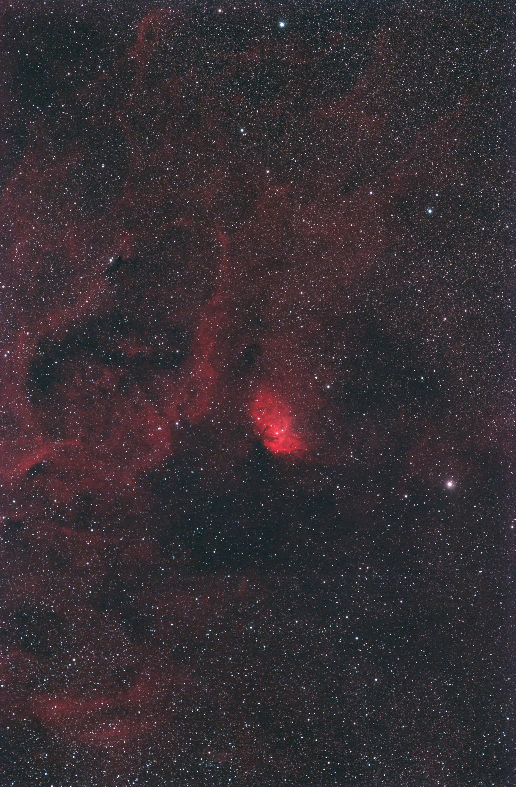 Tulpennebel mit Cygnus X1 im Sternbild Schwan