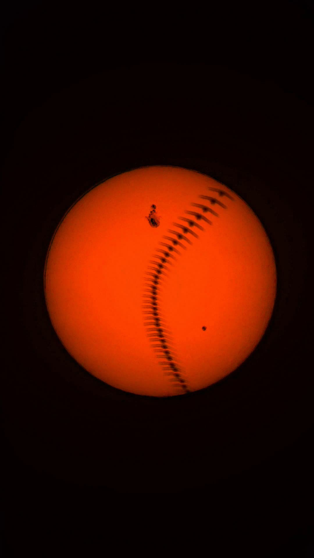 Sonnenfleck AR 4079 und Vogel im Flug 