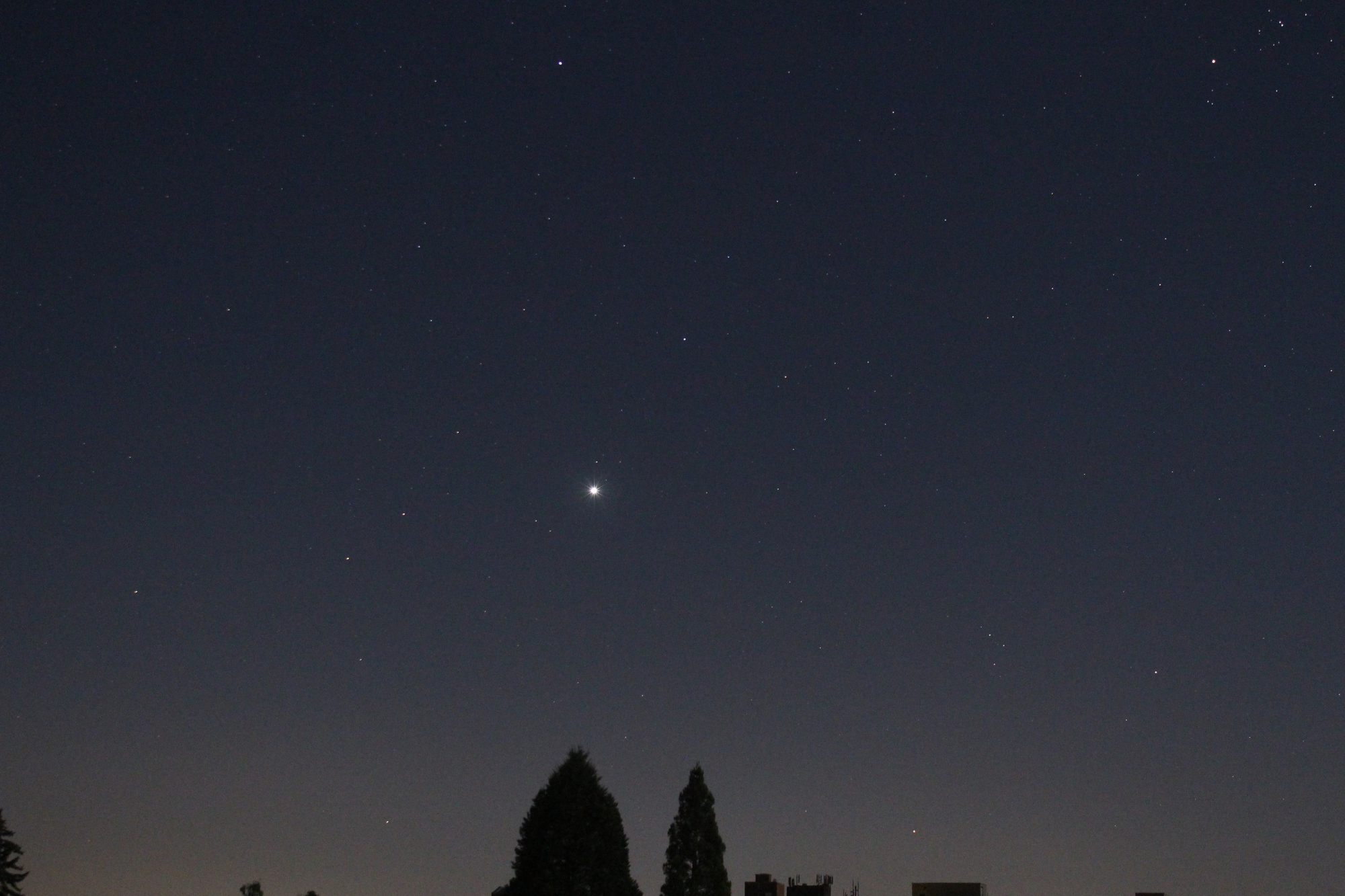 Venus am Morgenhimmel -2