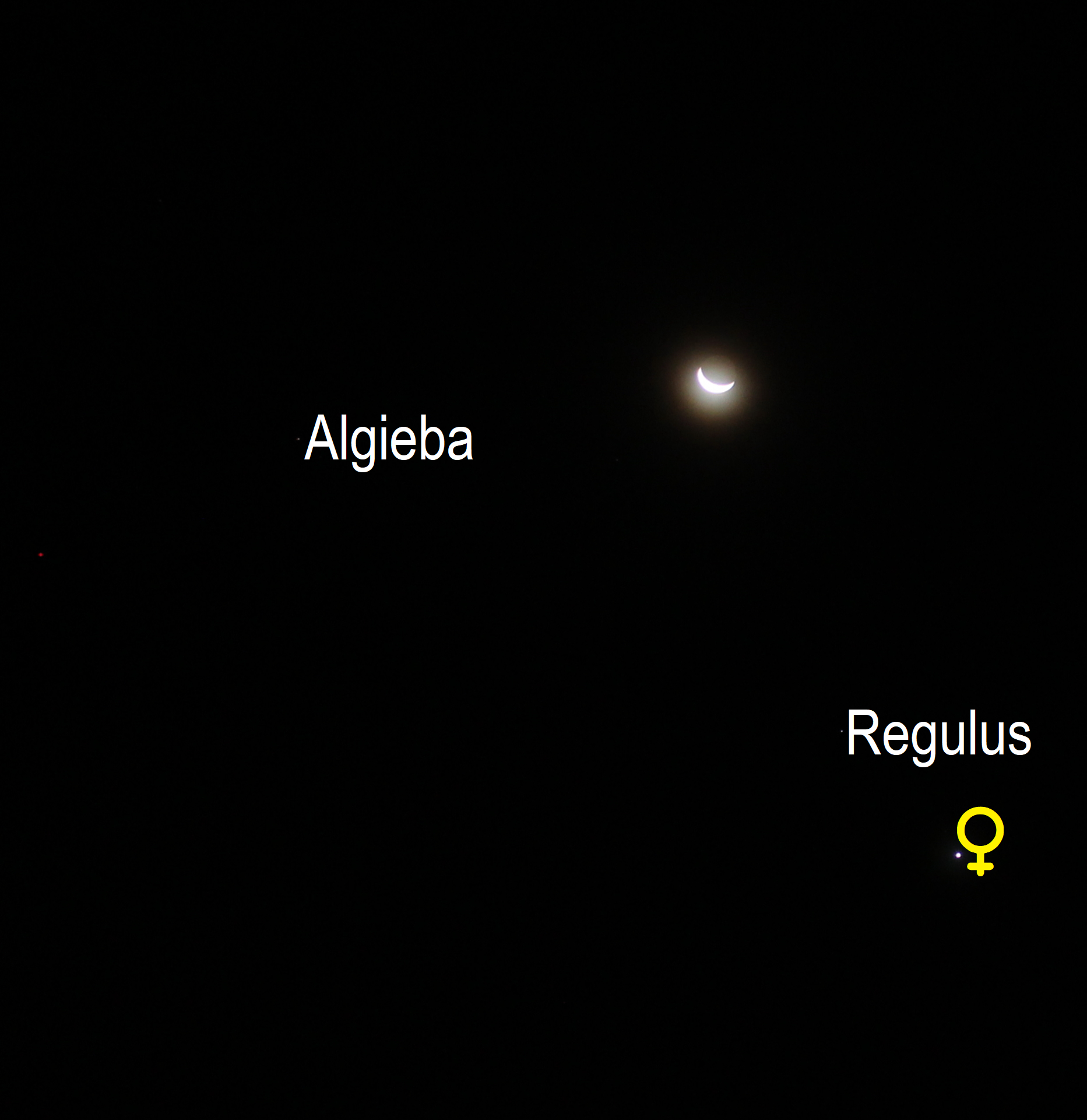 Mond, Venus und Regulus am Morgenhimmel (Objekte beschriftet)
