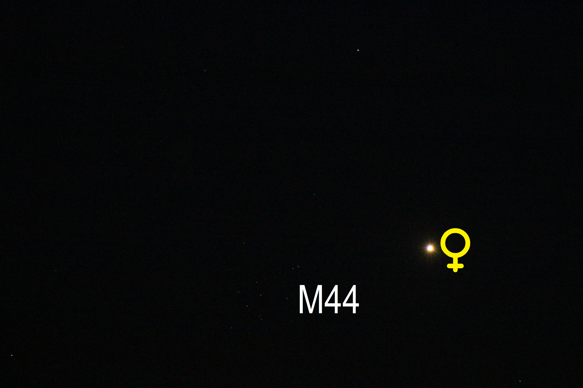 Venus nähert sich M44 (Objekte beschriftet)