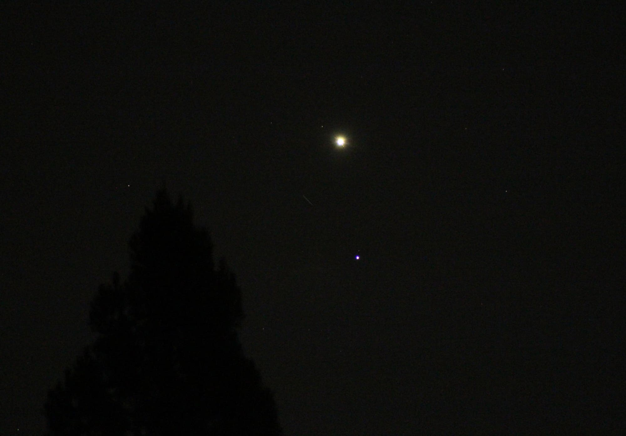 Venus und Regulus