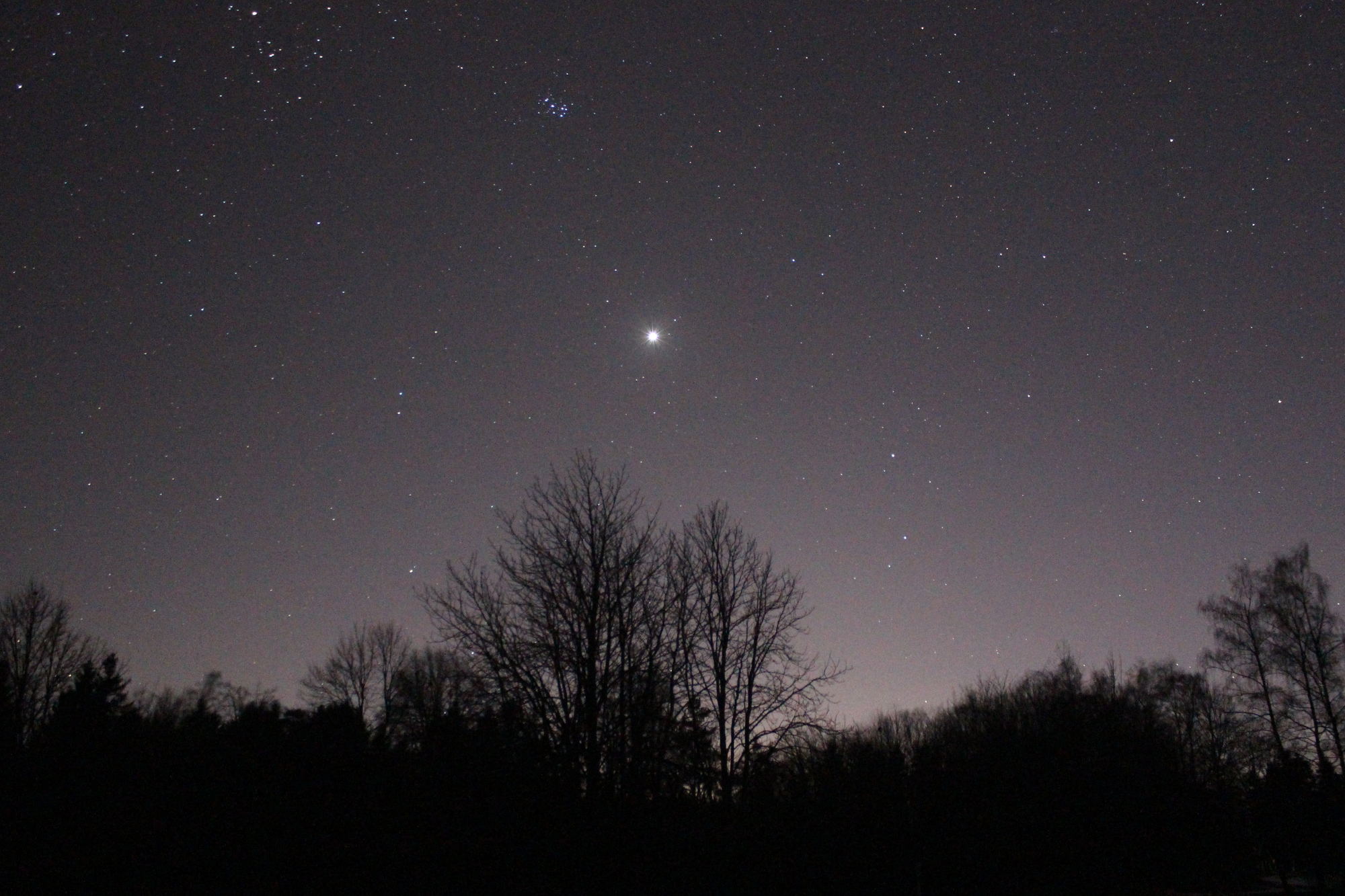 Venus am Abendhimmel - 1