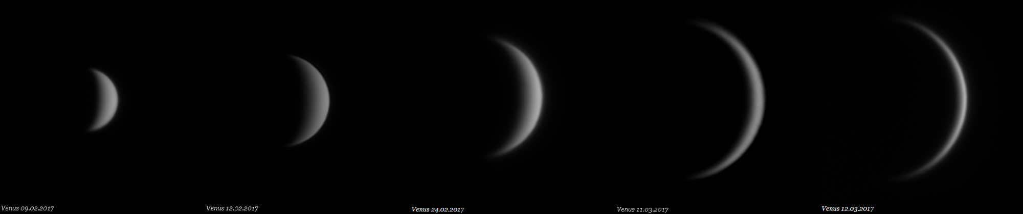 Venus 2017
