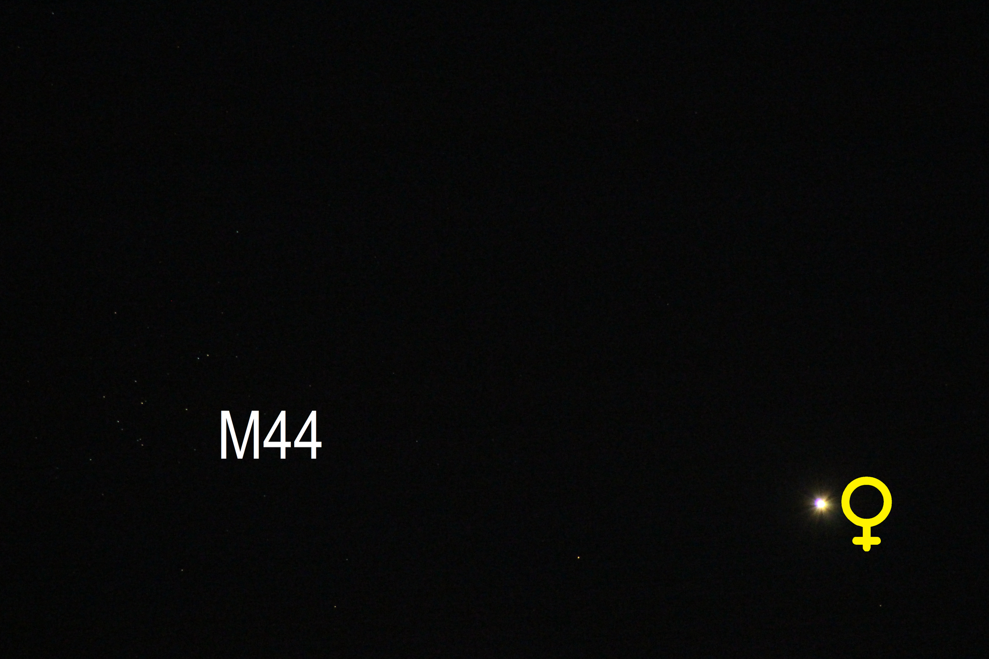 Venus und M44 (Objekte beschriftet)