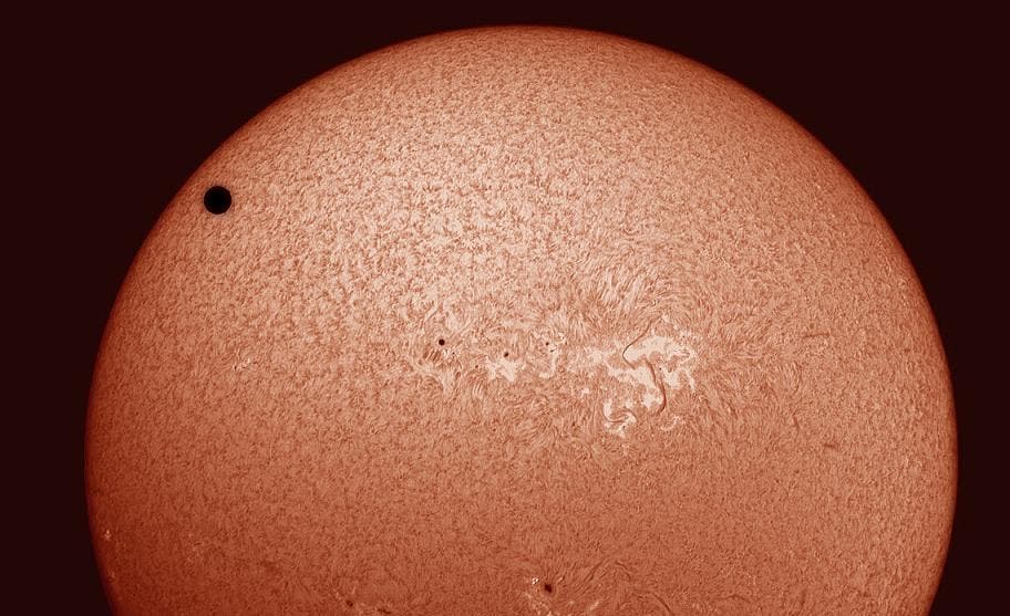 Venus vor H-alpha-Sonne
