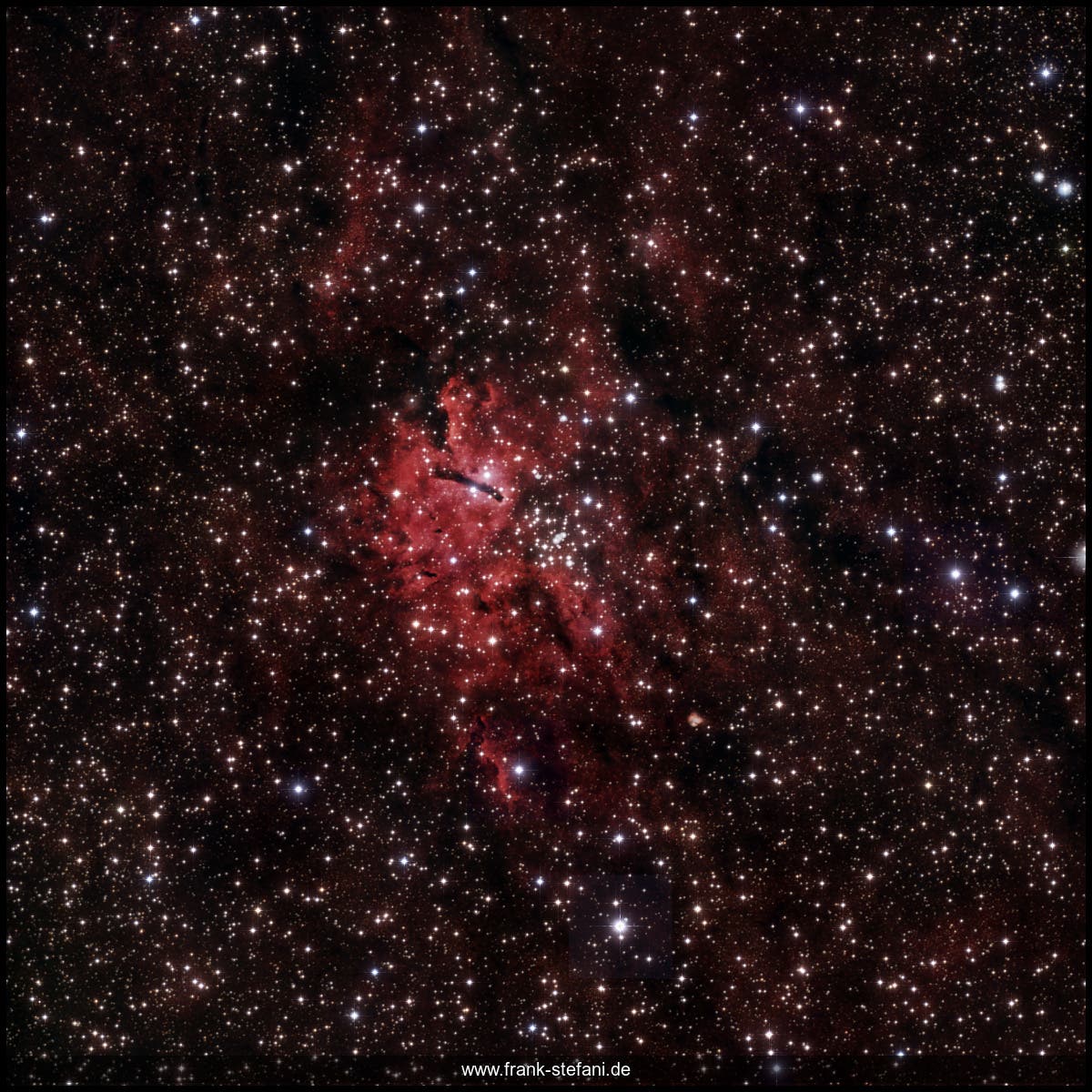  NGC 6823 und Sh2-86 - ein offener Sternhaufen mit Emissionsnebel