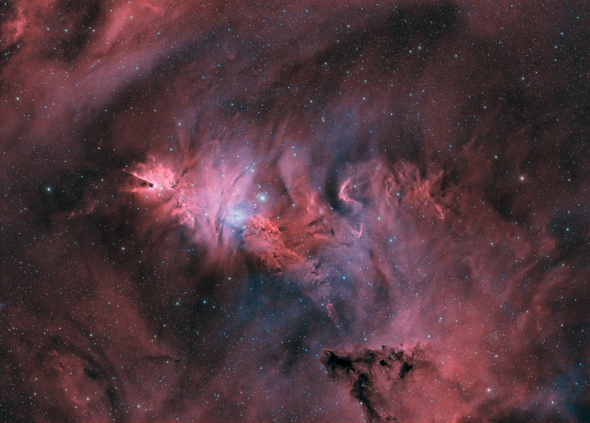 NGC 2264 Weihnachtsbaum-Cluster