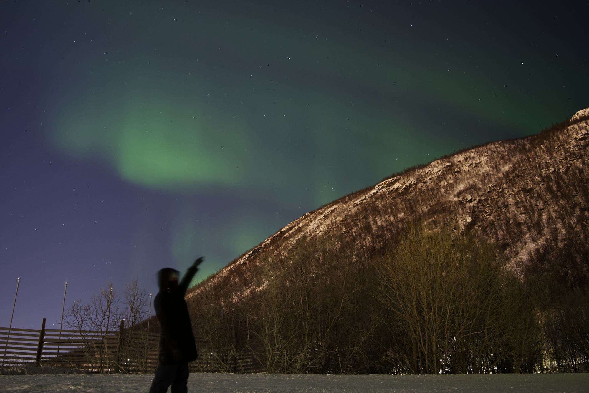 Polarlichter in Tromsö